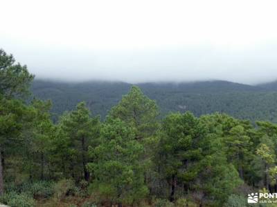 Bosque Plateado de La Jarosa; viajes puente noviembre actividades aire libre visitas cerca de madrid